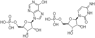 Polyinosinic acid-polycytidylic acid