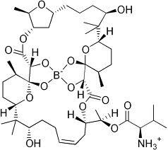 Boromycin