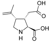 Kainic Acid