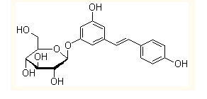 Polydatin