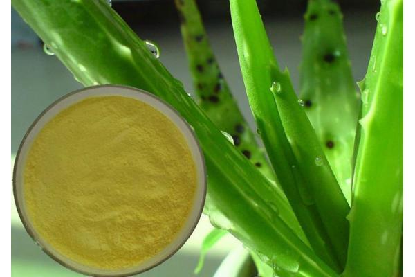 Aloe vera Extract