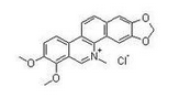 Chelerythrine