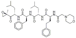 Carfilzomib