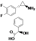 Ticagrelor IntermediateⅡ