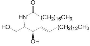 Ceramide