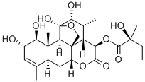 Glaucarubin