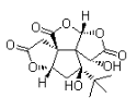 Ginkgo biloba PE