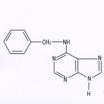 6-Benzylaminopurine