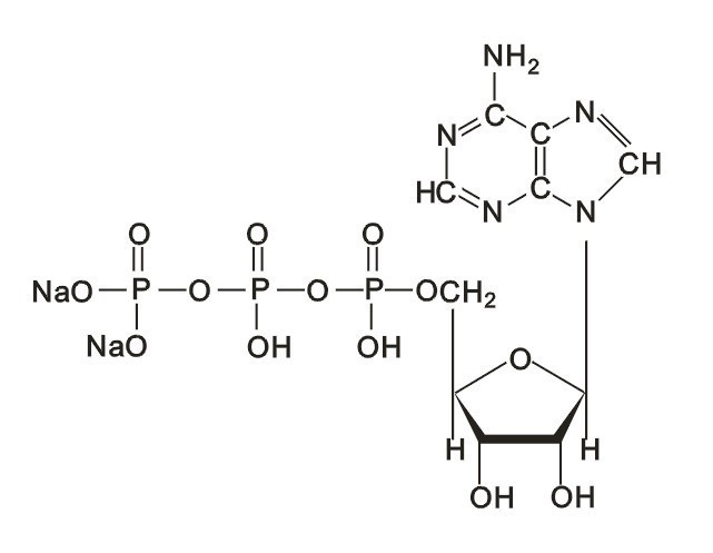 Adenosine Triphosphate Disodium