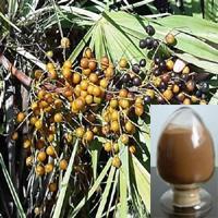 Saw Palmetto Extract