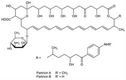 Partricin