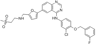 Lapatinib