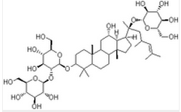 GinsenosideRd