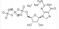 Guanosine triphosphate disodium