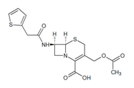 Cephalothin