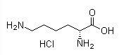 Lysine