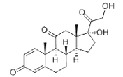 Prednisone