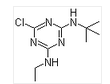 Terbuthylazine