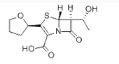 Faropenem sodium hemipentahydrate