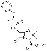 Phenethicillin Potassium