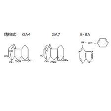 6-Benzylamino-purine + Gibberellin Acid (A4) + Gib