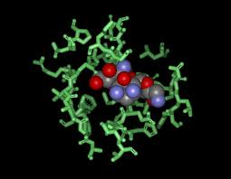 Bekanamycin Solfate