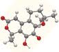 ErythromycinEthylcarbonate