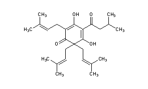 Lupulon