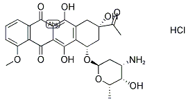 Idarubicin HCL