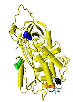 Antithrombin