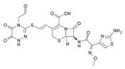 Ceftiolene