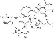 Paldimycin