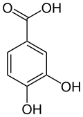 Protocatechuic Acid