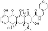 Morphocycline