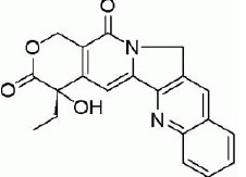 Camptothecine