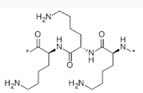 Polylysine