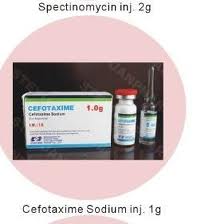 Cefminox Sodium for Injection