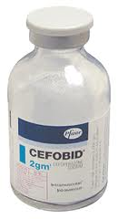 Cefobid