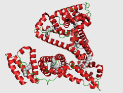 Serum Albumin