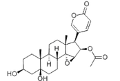 Cinobufotalin