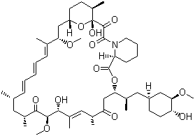 Rapamycin