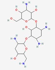 Nebramcyin