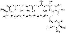 Nistatin