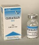 Cloxacillin