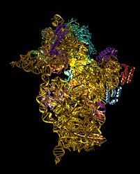 Actinobolin