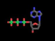 Amino-Deoxyadenosine