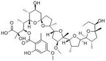 Cationomycin