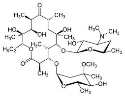 Erythromycin A