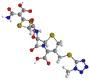 Synthomycin Palmitas