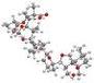 Adamantyl Tetracycline